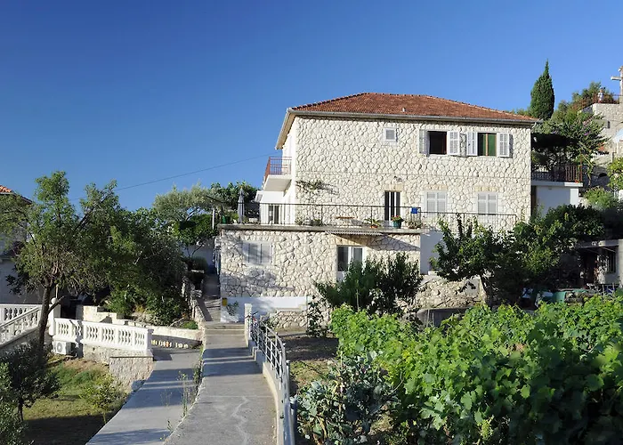 Olive Tree * Hvar Town