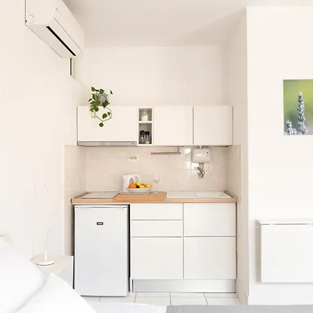 Apartament Olive Tree *
