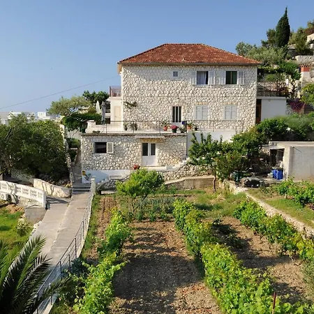 Olive Tree * Hvar Town