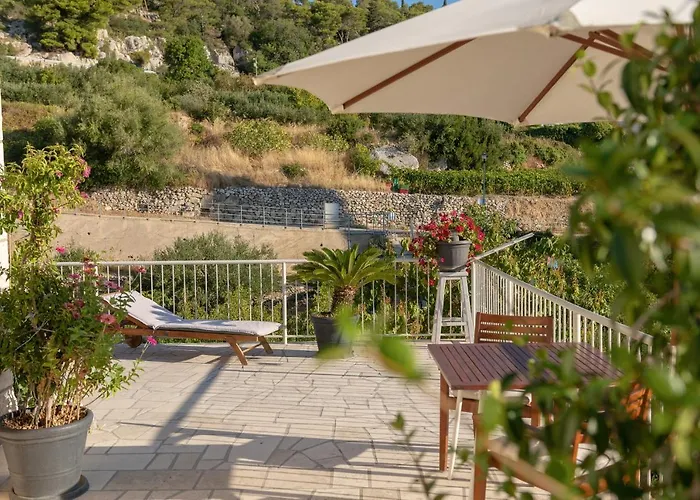 Apartment Olive Tree