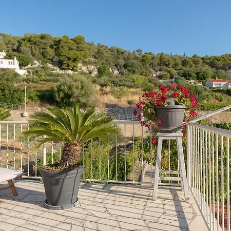 Apartamento Olive Tree