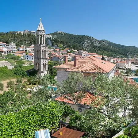 Apartment Olive Tree *