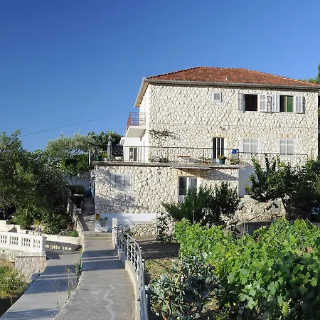 Olive Tree * Hvar Town