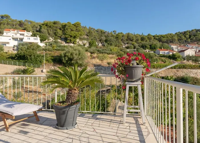 Apartment Olive Tree