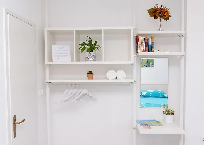 Olive Tree Apartment