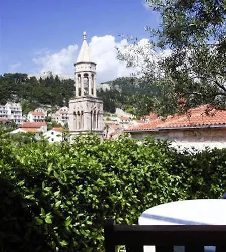 Olive Tree Hvar Town